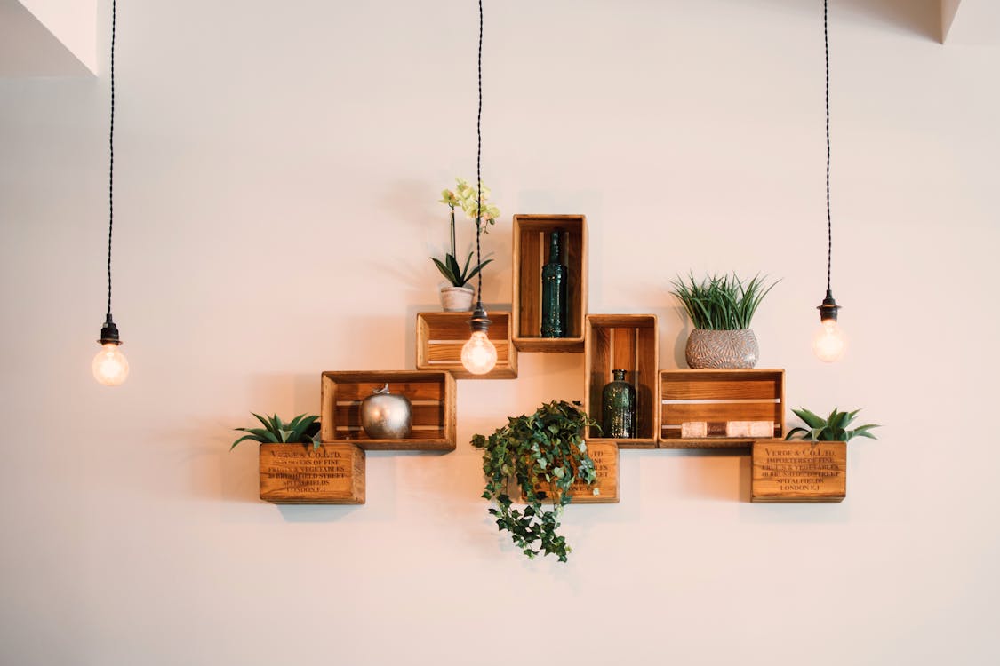 Modern dispensary interior with clean design