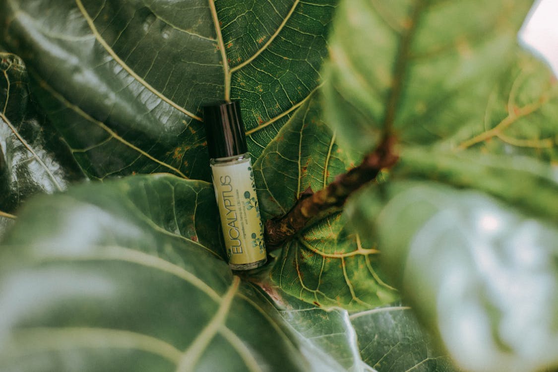 Cannabis-infused skincare cream for topical relief